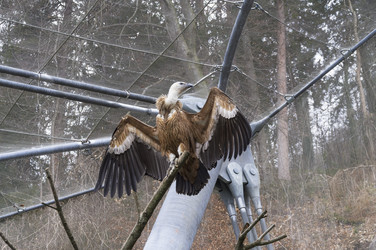 Similar image 21136615