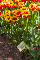 Similar image 21136617