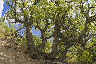 Similar image 21136619