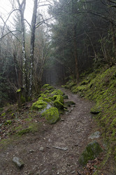 Similar image 21136620