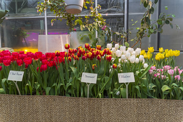 Similar image 21136633