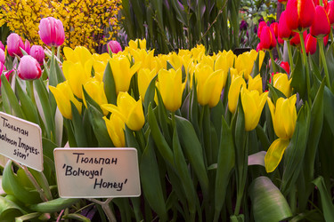 Similar image 21136634