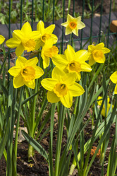 Similar image 21136930