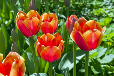 Similar image 21136931