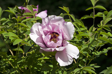 Similar image 21136934