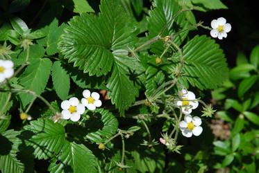 Similar image 21143076