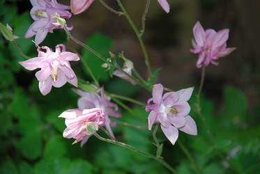 Similar image 21143078