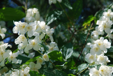 Similar image 21143079