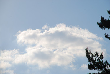 Similar image 21143081