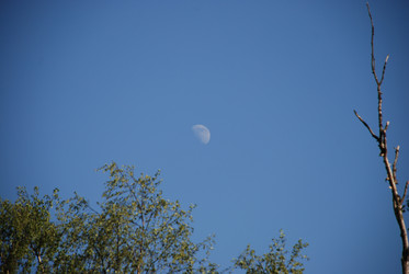 Similar image 21143083