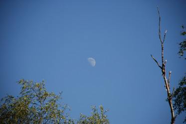 Similar image 21143084