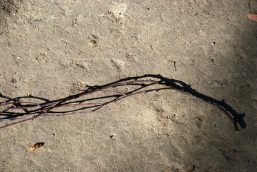 Similar image 21143085