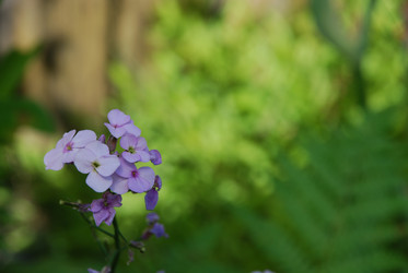 Similar image 21143086