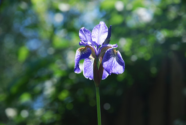 Similar image 21143088