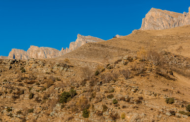 Similar image 21168793