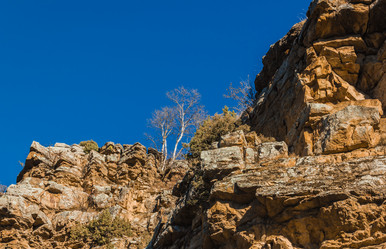 Similar image 21168794