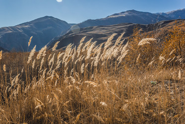 Similar image 21157733