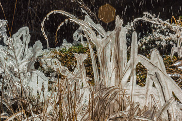 Similar image 21168798