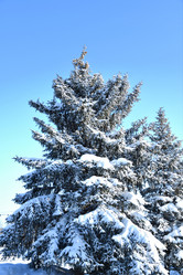 Similar image 21144098