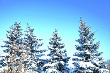 Similar image 21144102