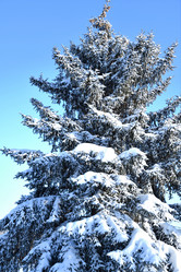 Similar image 21144104