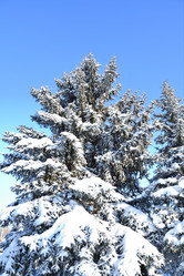 Similar image 21144107