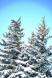 Similar image 21144109