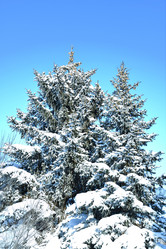 Similar image 21144123