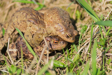 Similar image 21165274