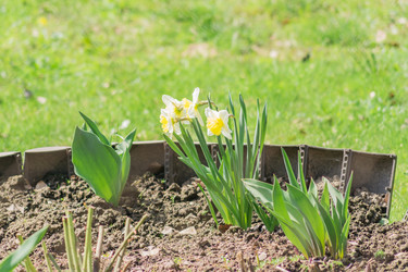 Similar image 21165278