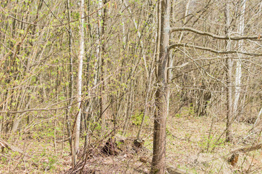 Similar image 21165286