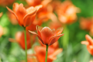 Similar image 21165305