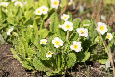 Similar image 21165562