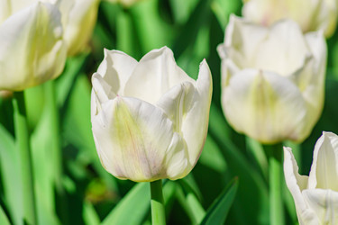 Similar image 21165563