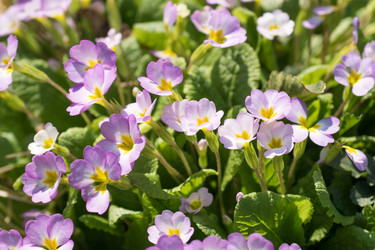 Similar image 21165566