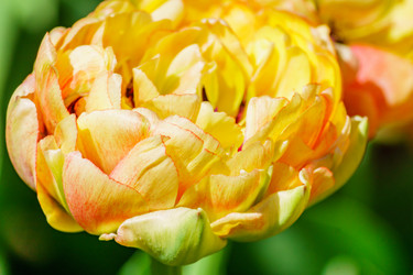 Similar image 21165568