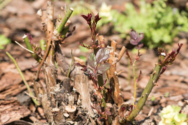 Similar image 21165569