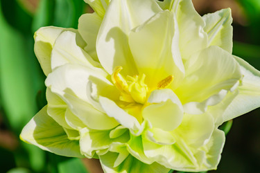 Similar image 21165571