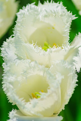 Similar image 21165574