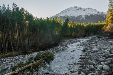 Similar image 21157850