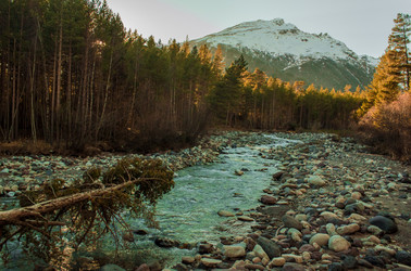 Similar image 21157851