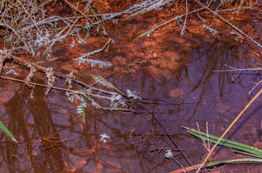 Similar image 21157854