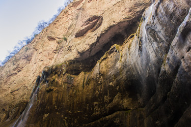 Similar image 21157873