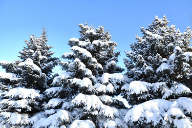 Similar image 21144625