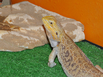 Similar image 21144629