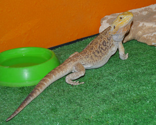 Similar image 21144632