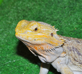 Similar image 21144635