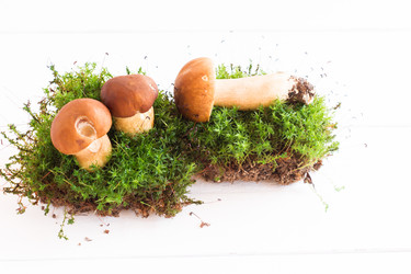 Similar image 21157410