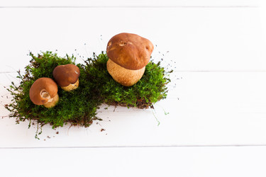 Similar image 21157413