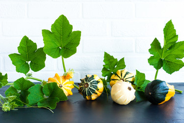 Similar image 21157416